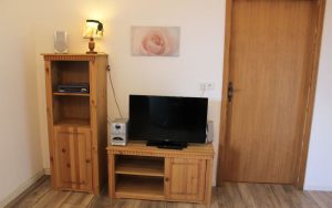 Fewo 1 Wohnzimmer TV